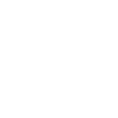 Professional Services